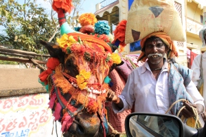 These men dress up this bull and have trained him to nod his head on command.  They provide entertainment in expectation of receiving money.  More creative than just putting your hand out I suppose.